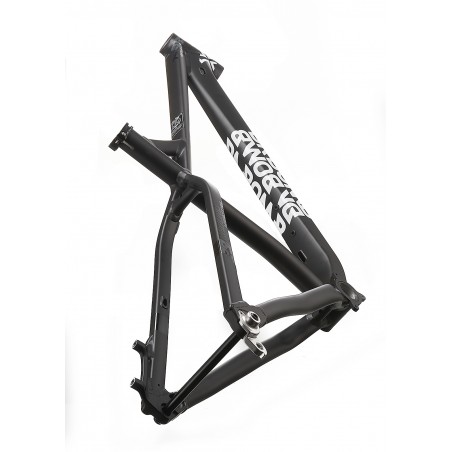 da bomb sentinel 2020